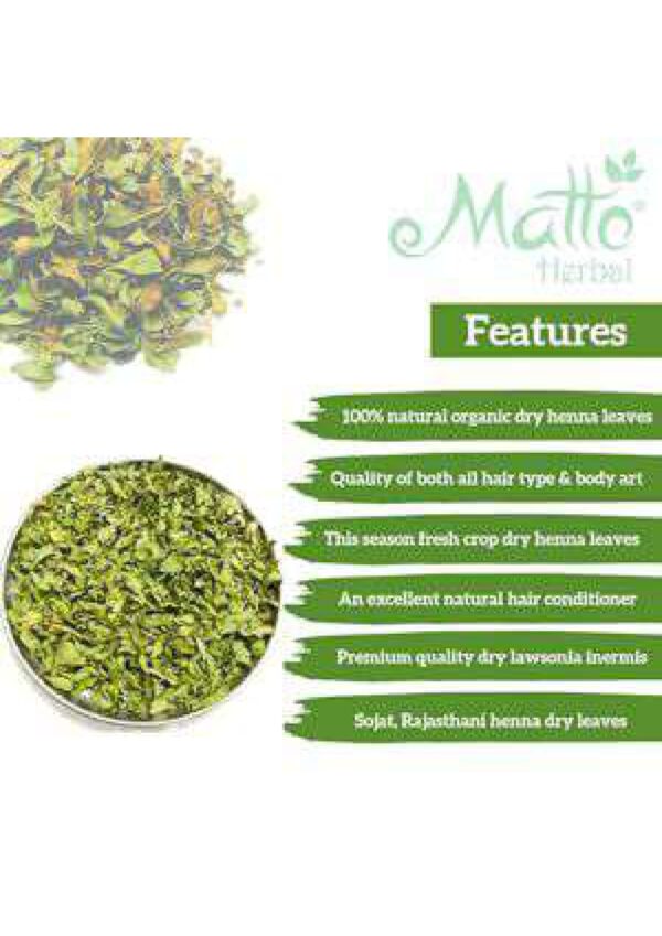 MATTO HERBAL MEHANDI DRY LEAVES 100 GM (MEHANDI PATTA) - Image 6
